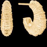 Seashell Secrets Earrings