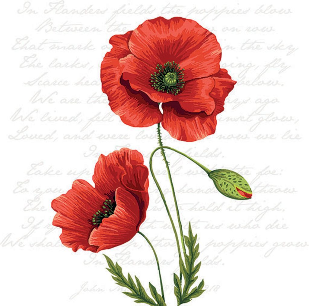 poppy flower party napkins red floral decoupage paper serviette luxury 3 ply x20
