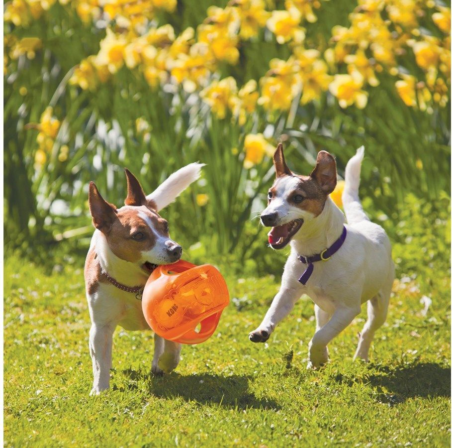 KONG Dog Toy Jumbler Ball Medium/Large 14cm