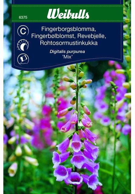 Weibulls Fingerborgsblomma Mix