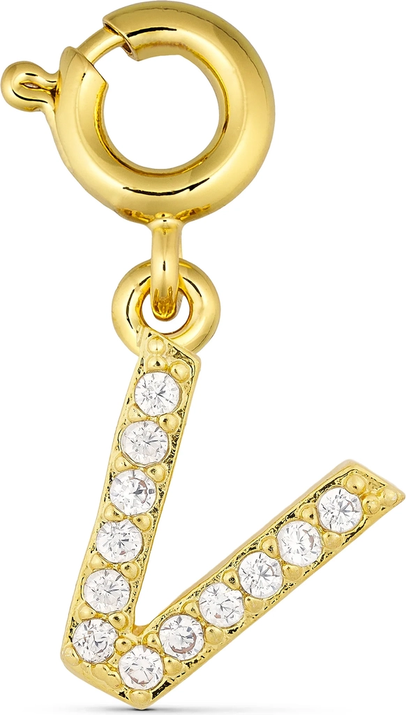 Charms Annebrauner V Charm