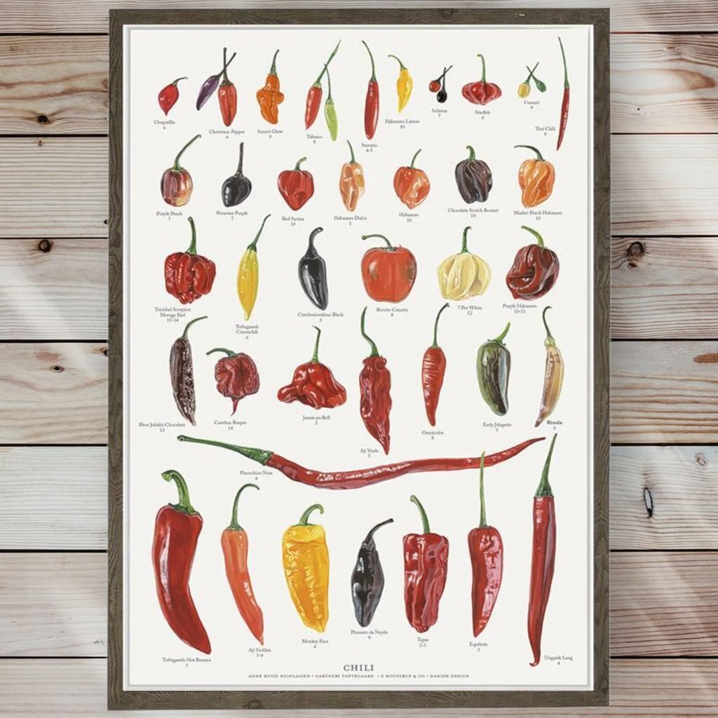plakat - chili- størrelse a2 (nr. 52)