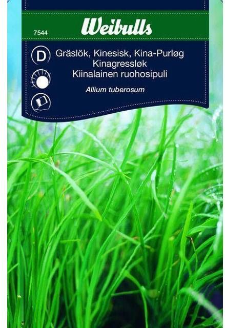 Weibulls Gräslök Kinesisk