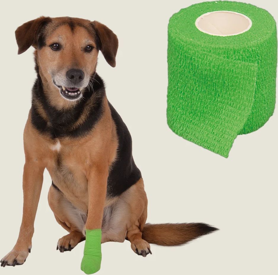 vetlando anti-lick bandage