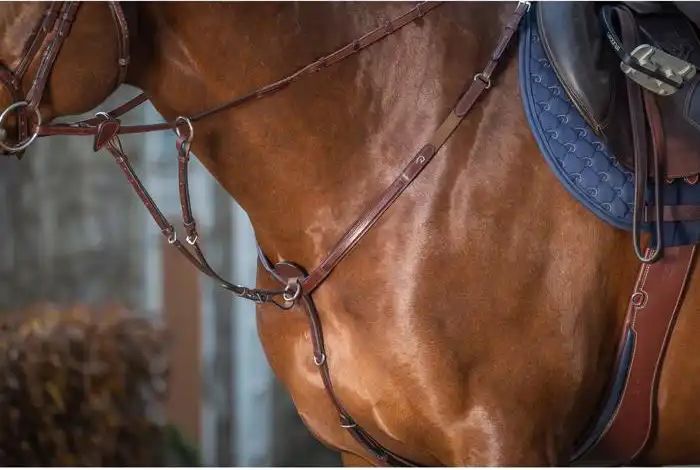 Dyon Martingale til Fortøj New English Collection fra Dy'on