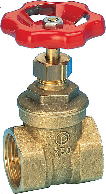 Pettinaroli Brass gate valve 1 1/4