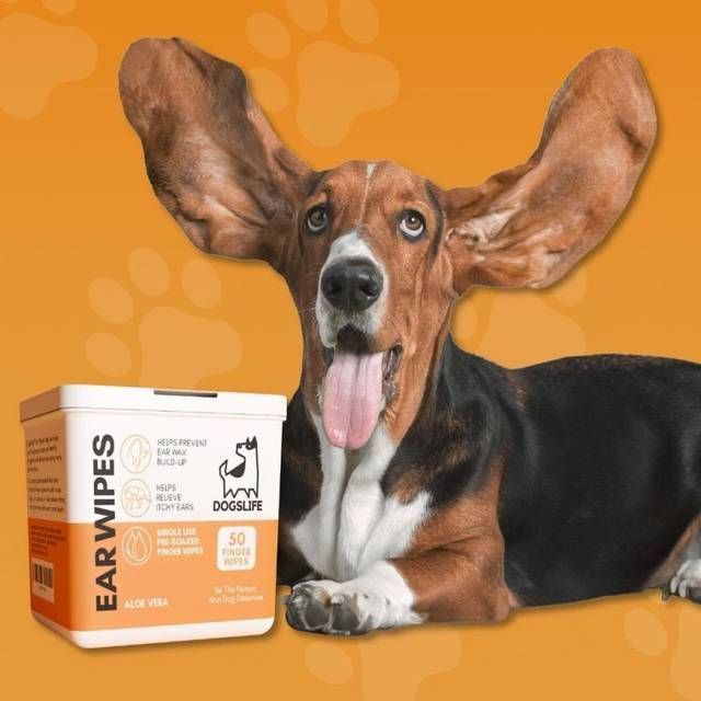 Dogslife Øreservietter Fingerformet 50