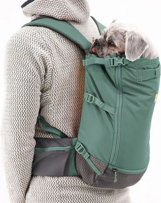 Ruffwear Hitch Hiker Dog Backpack Carrier River Rock Green X-Small