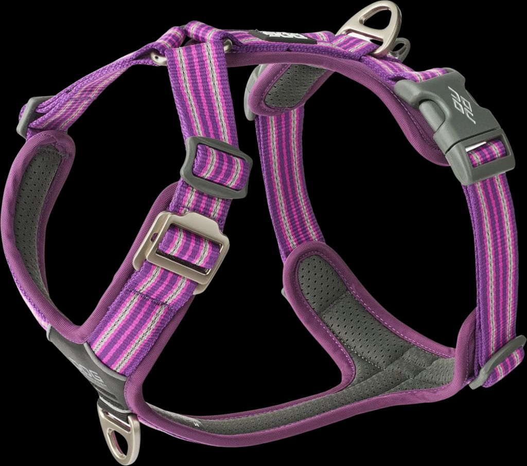 dog copenhagen comfort walk air harness