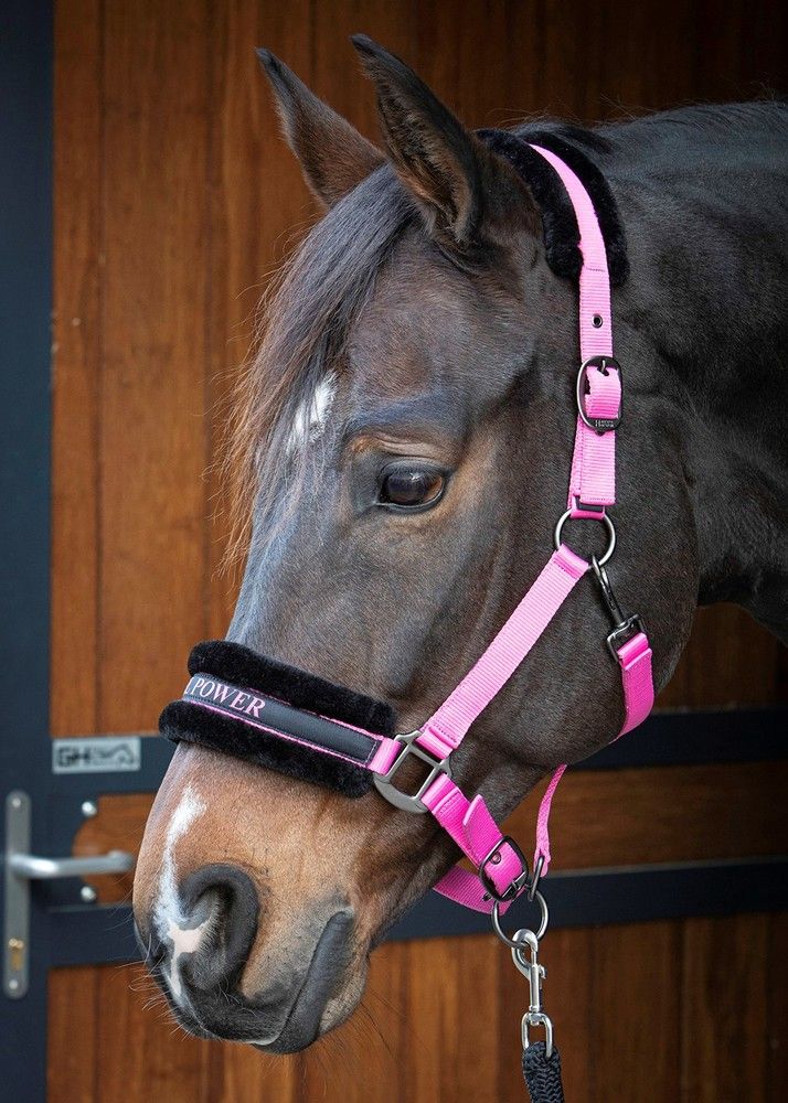 Marpa Jansen Harry's Horse Lyrics Quotes Halfter - Pony