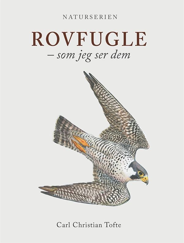 Rovfugle Natur Videnskab Hardcover