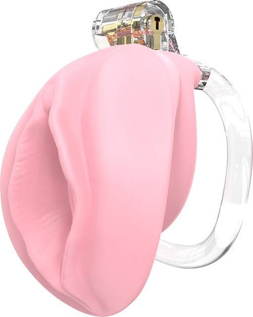 Cellmate Pussyfyer Chastity Cage