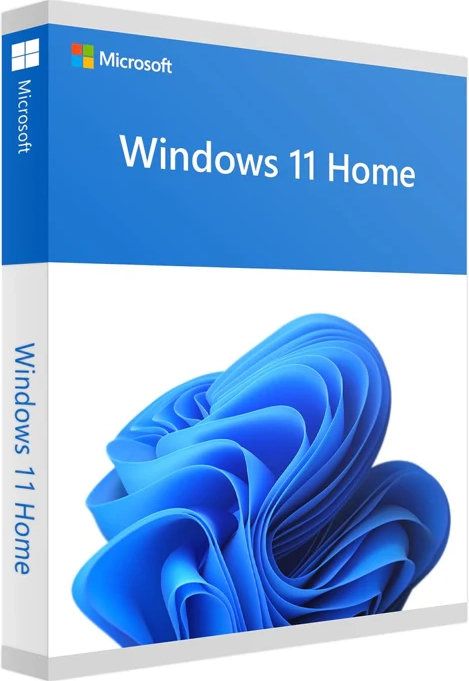 Microsoft Windows 11 Pro (OEM)
