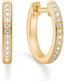 Lumin Shine Earring