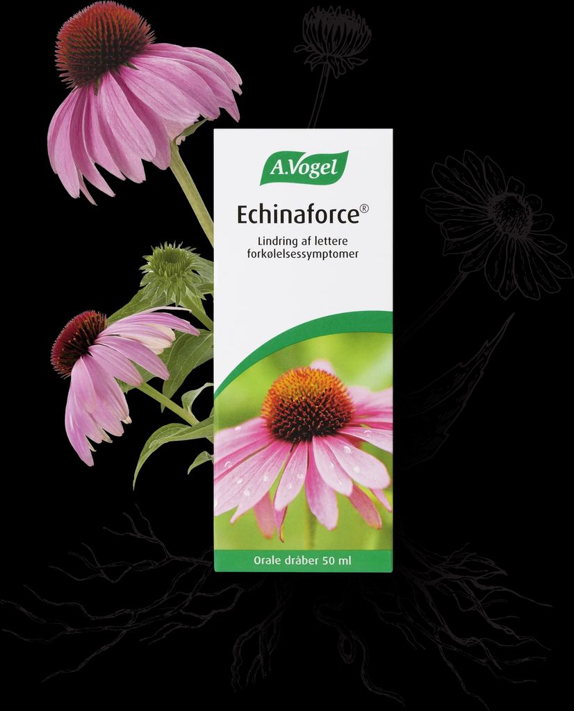 Echinaforce - 100ML - A. Vogel