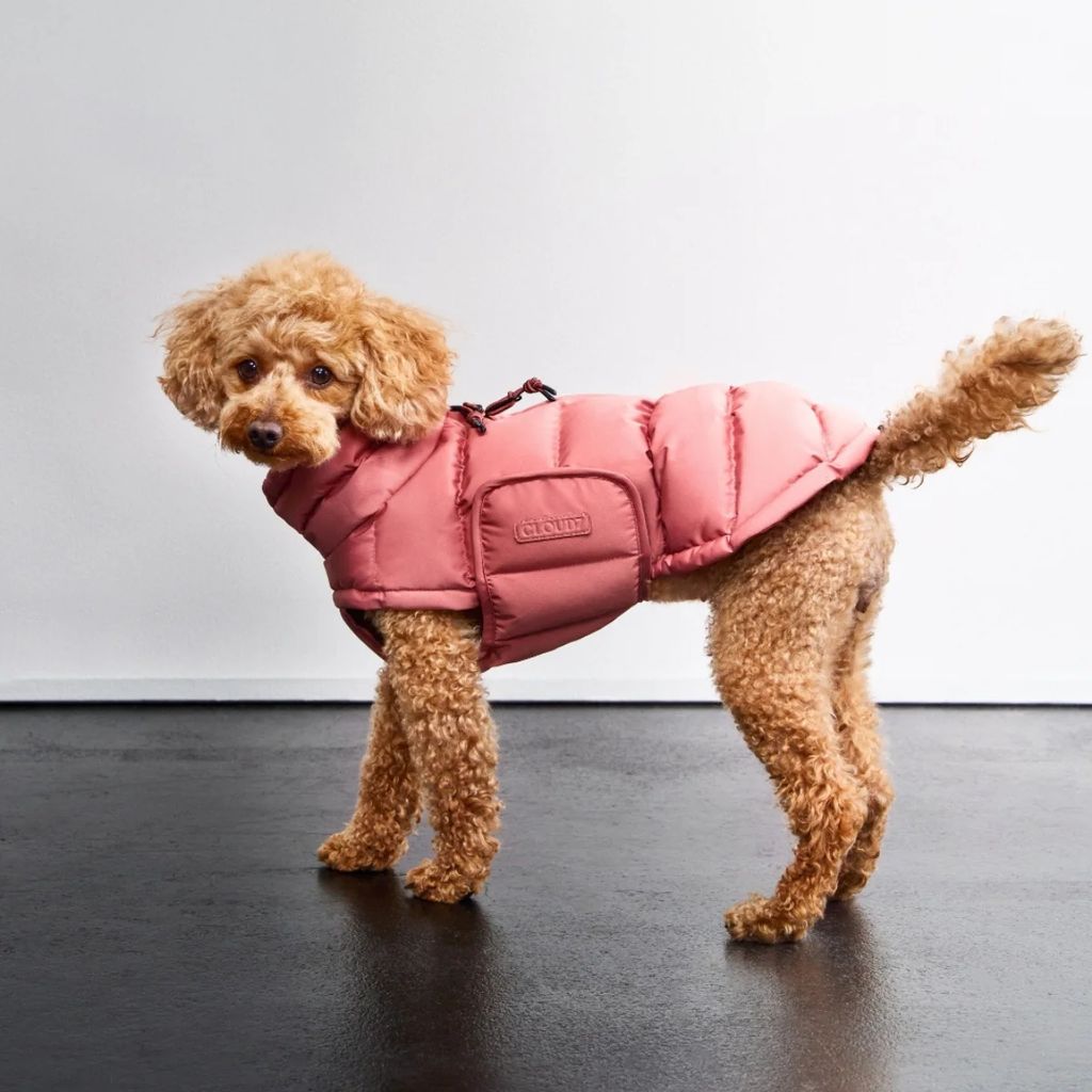 cloud7 alaska // ekstra varm vinterjakke til hunde (faded rose)