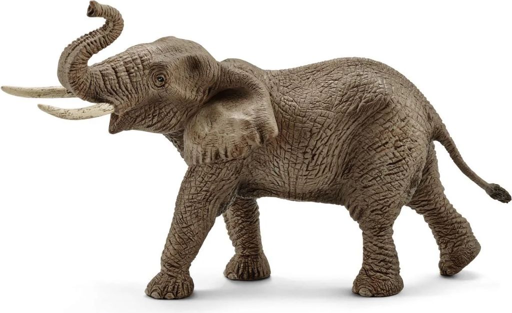 elefant han