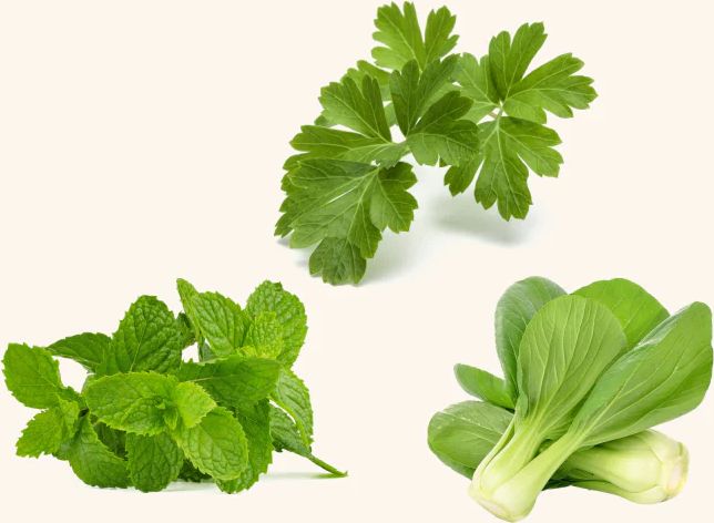 asian cuisine seed mix
