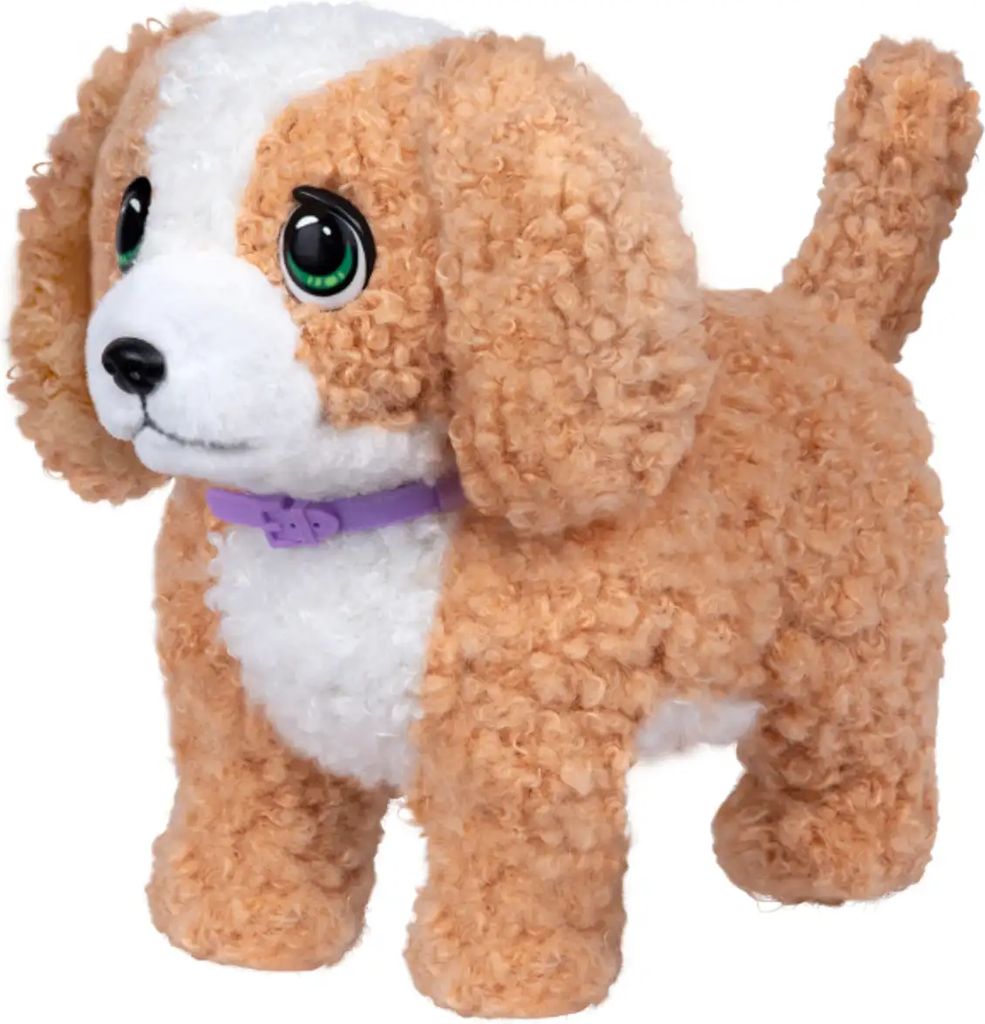 little live pets ouchies poodle
