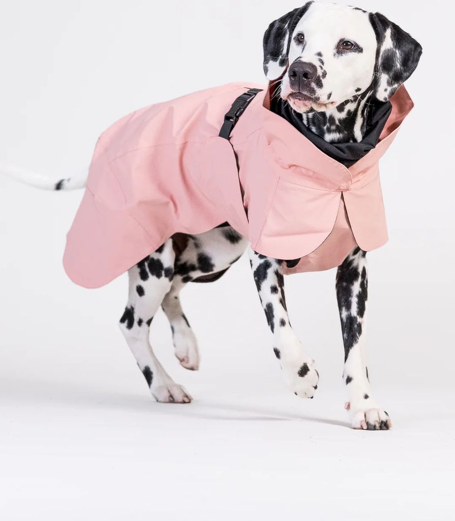 pre-order aw26 paikka visibility raincoat rose