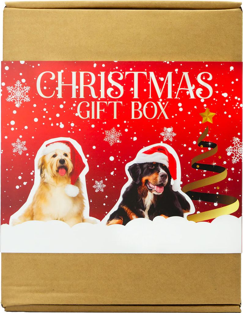 PETCARE X-Mas Giftbox for Dogs Treateaters