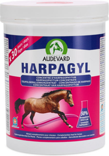 Audevard Harpagyl Horse Equine Musculoskeletal Support 450g