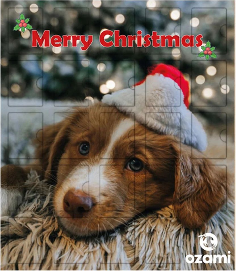 ozami adventskalender hund