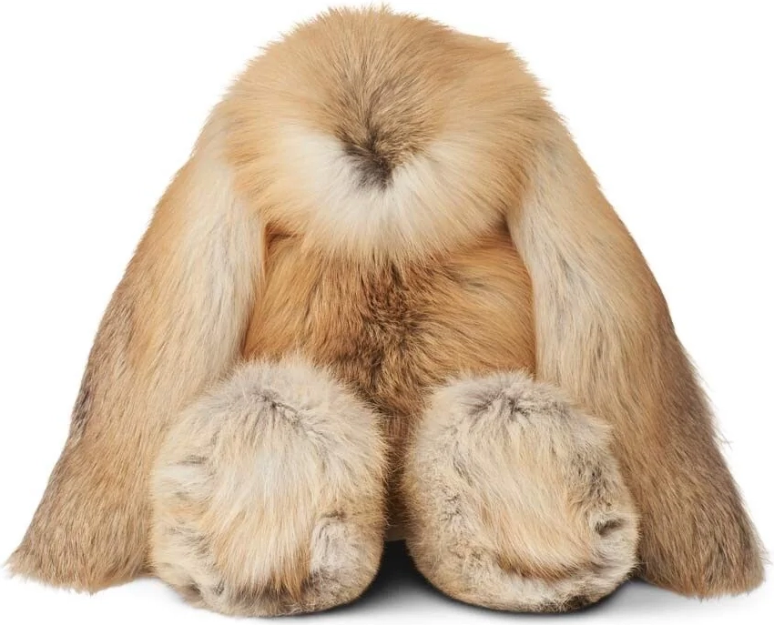 Kaninbamse | Ræv
