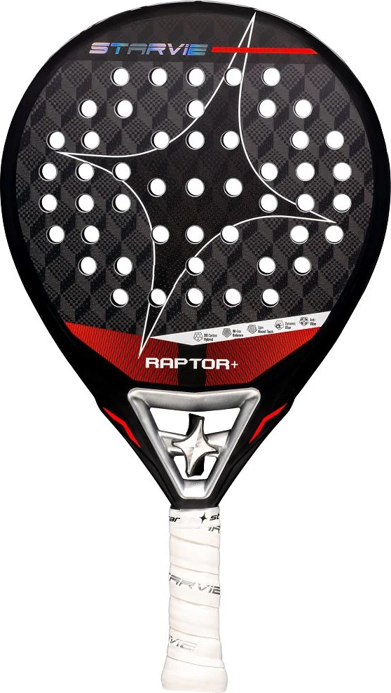 Starvie Raptor + 26