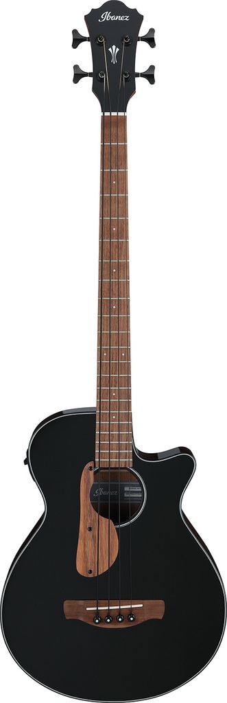 Ibanez AEGB24E