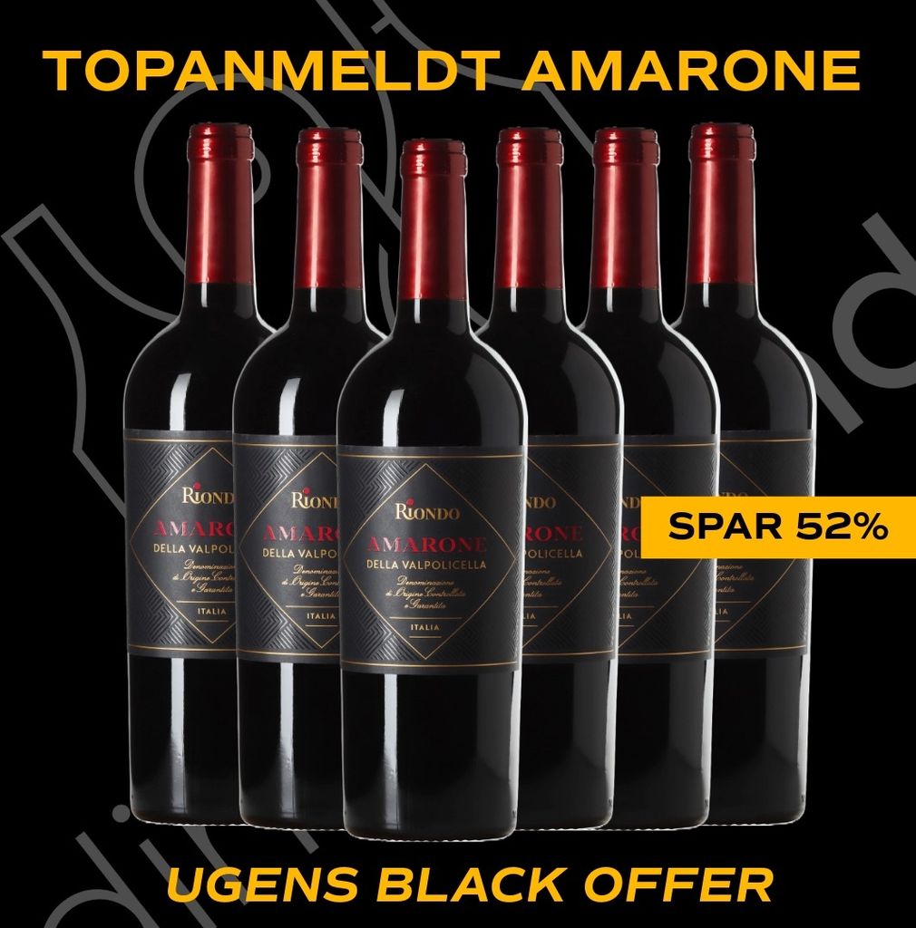 Riondo Amarone della Valpolicella 2017, Venetien, Trocken