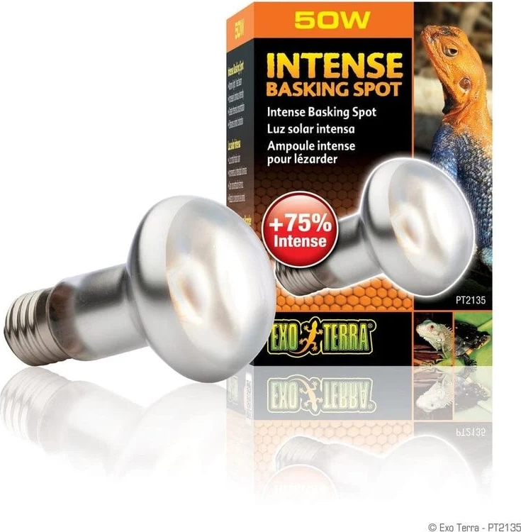 EXO TERRA Intense Basking Spot 75W