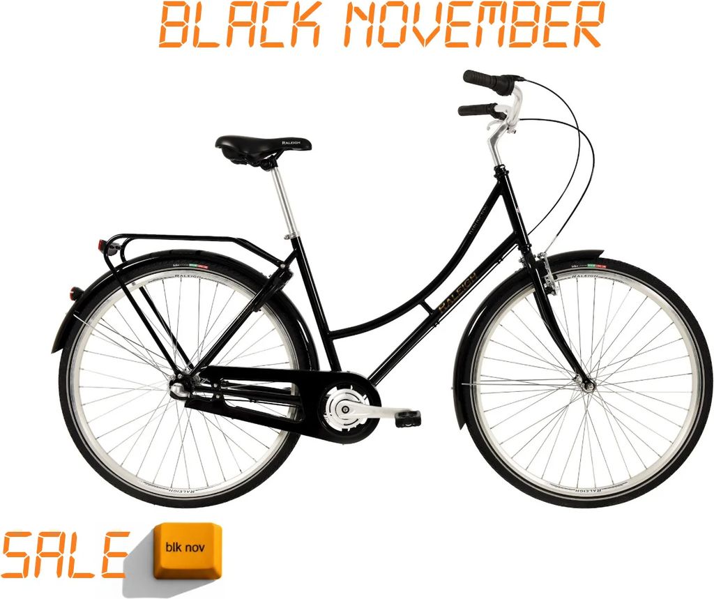 raleigh darlington dame 3g