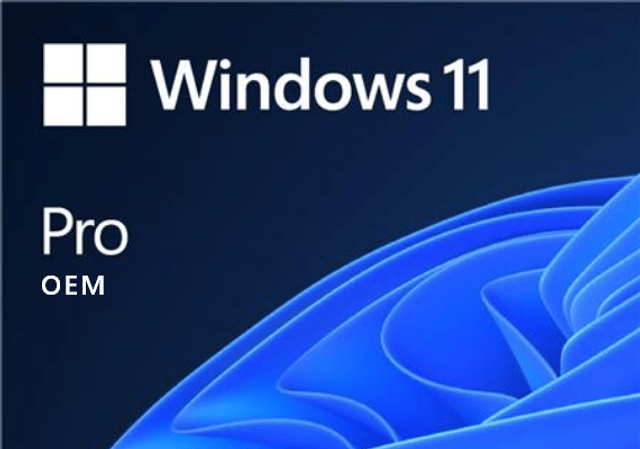Microsoft Windows 11 Professional OEM Key