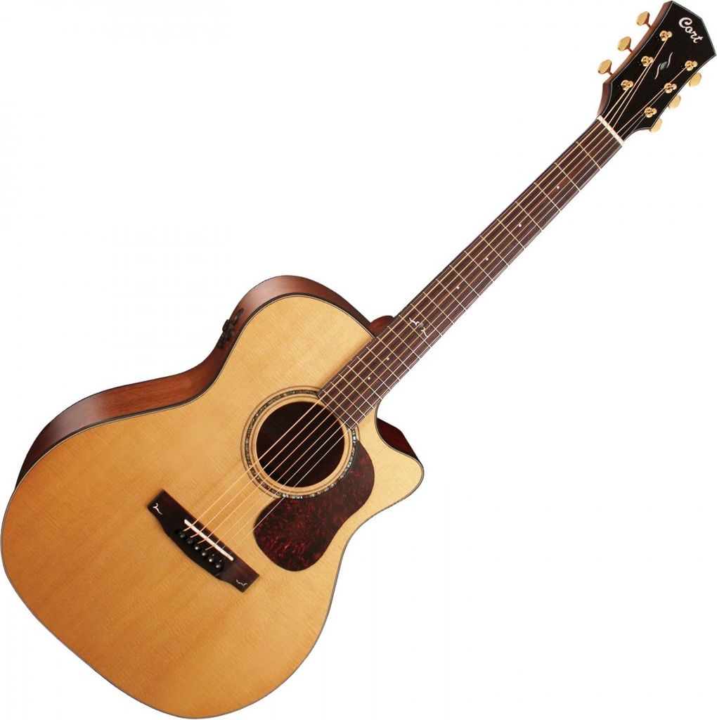Cort Gold A6