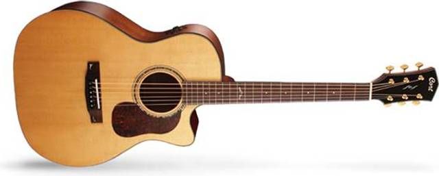 Cort Gold A6