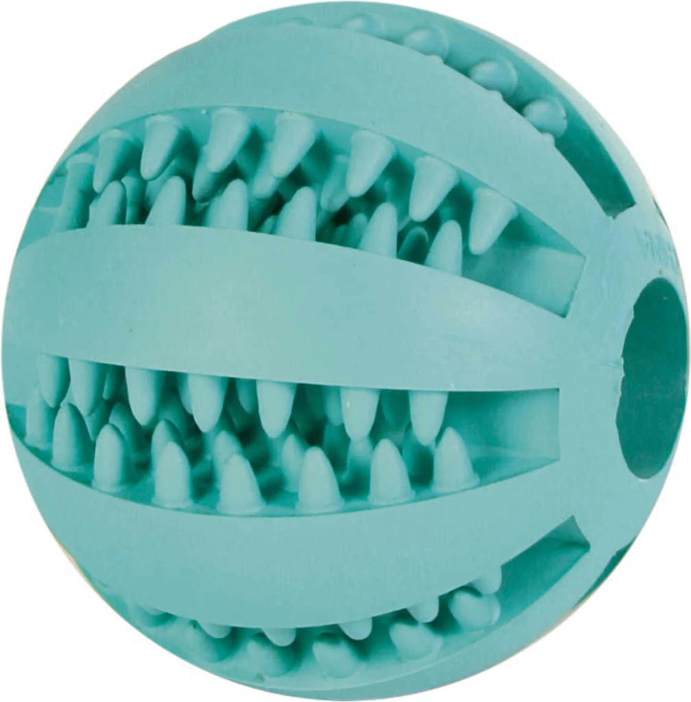 trixie mintfresh dental bold