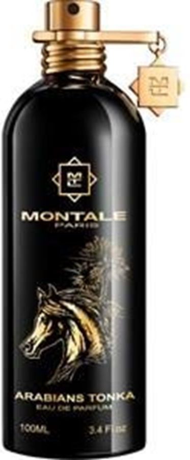 MONTALE Arabians Tonka EDP 100 ml