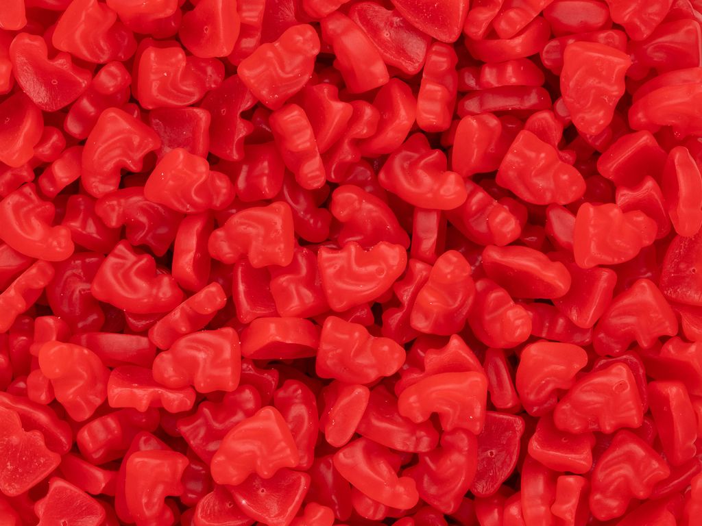 zoo bland-selv slik i kasser 2,2 kg