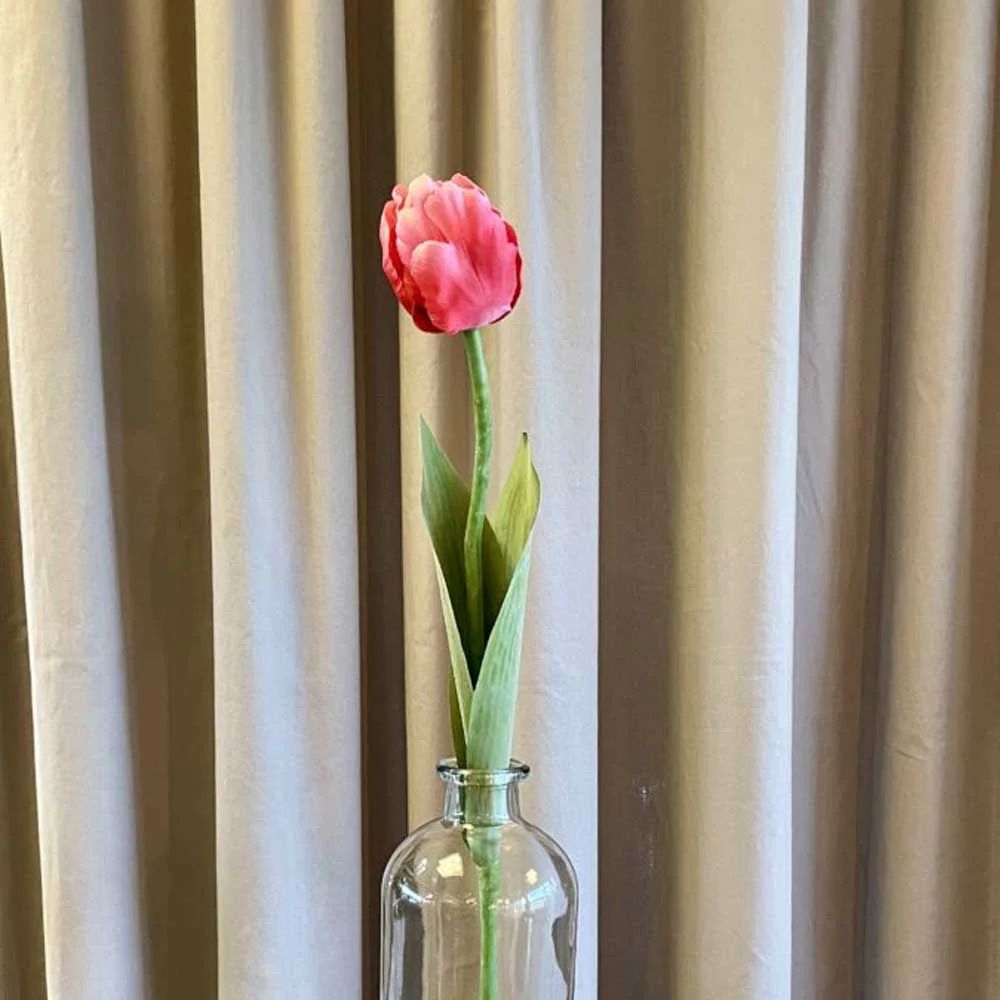 barbara papegøje tulipan pink 61cm