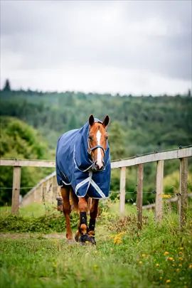 Horseware Amigo Bravo 12 Plus Bundle Regndækken 50g, 100g + 200g liners – Navy/Titaniumgrå & Sølv - PETSTER