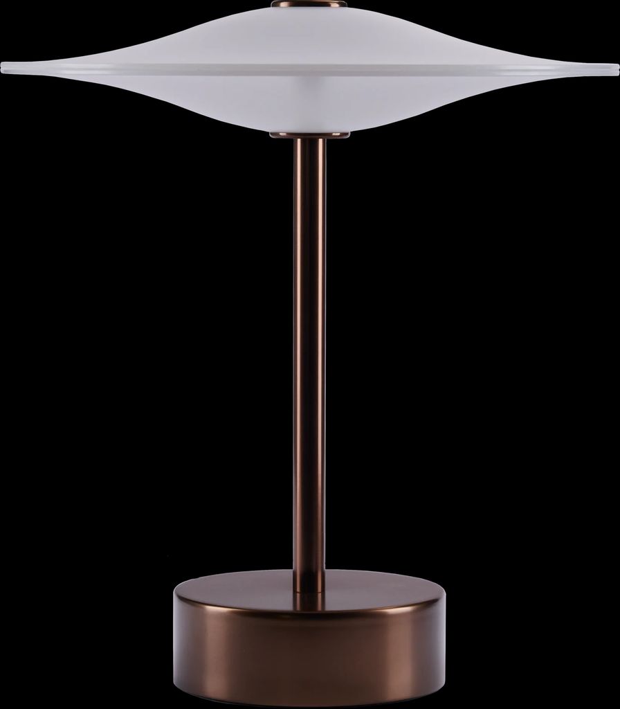 sinus portable - bronze