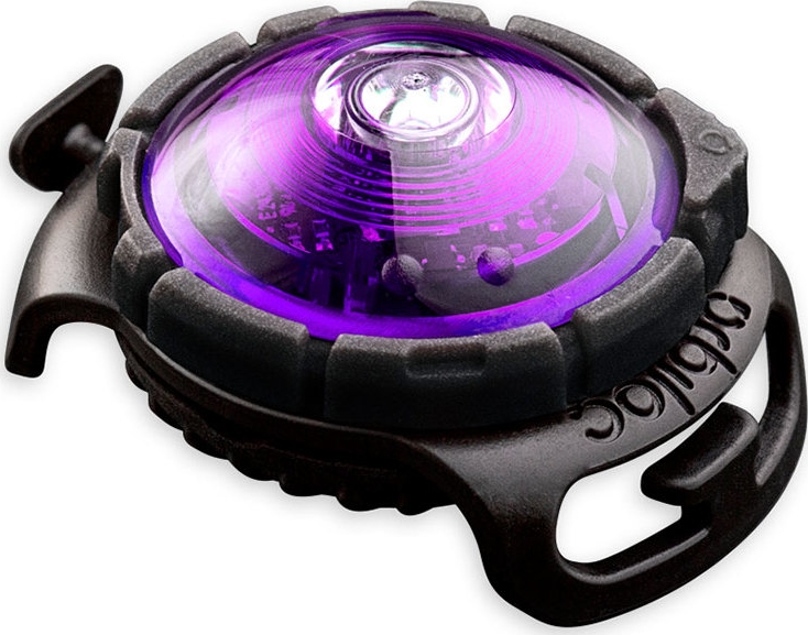 dark dual