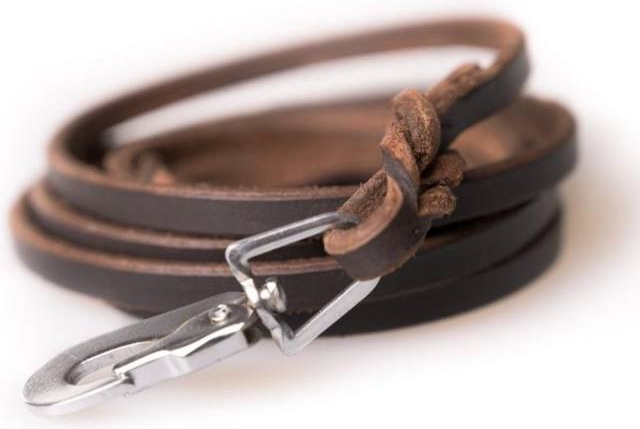 Active Canis Leather Leash (pcp hook)