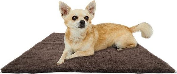 Active Canis Vetbed 75x100 cm Medium Grey Grå Paws