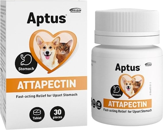 attapectin tabletter 30 tabletter