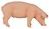 mojo farmland pig boar - 387080