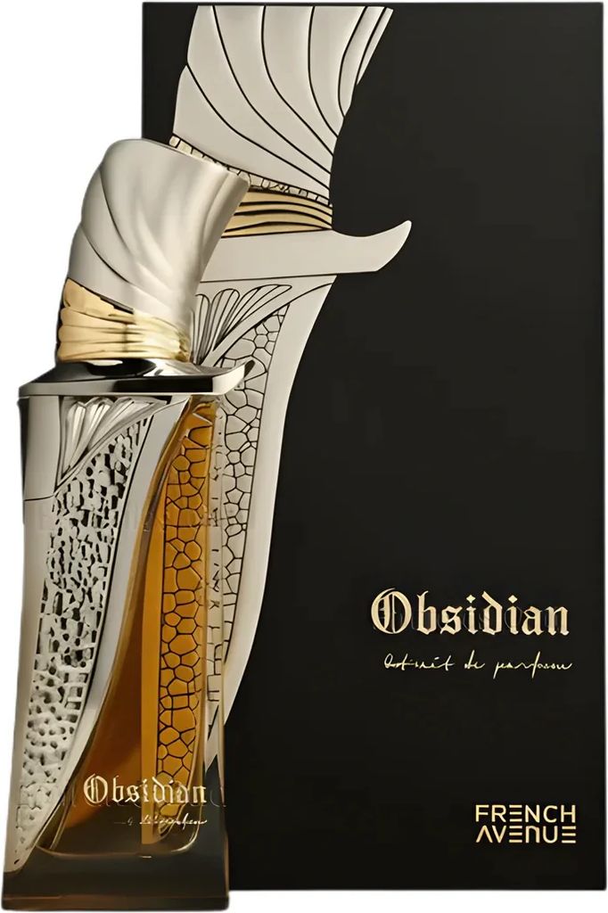 Rayhaan Obsidian Twist Dior Homme EDP 100ml