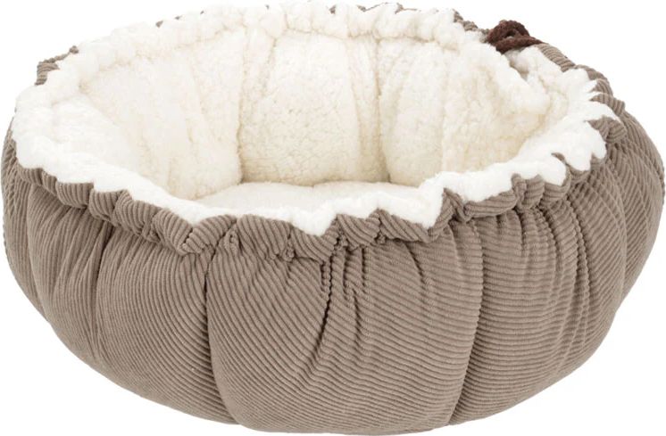 Fit & Fun 2-in-1 Bed/Mat