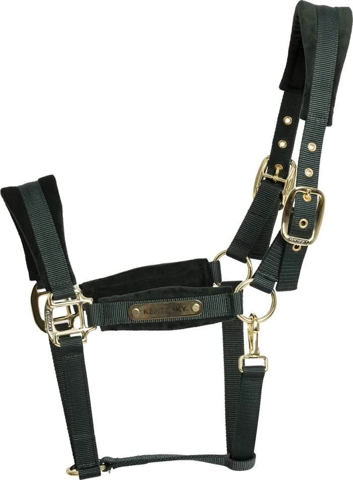 Kentucky Horsewear Velvet Grime